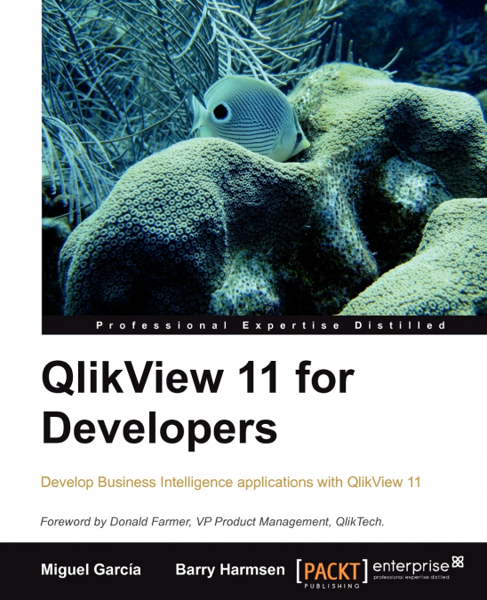 Qlikview 11 Developer’s Guide