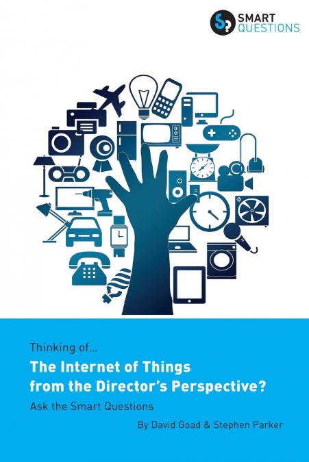 Thinking of... The Internet of Things from the Director's Perspective? Ask the Smart Questions