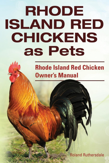 Rhode Island Red Chickens as Pets. Rhode Island Red Chicken Owner’s Manual