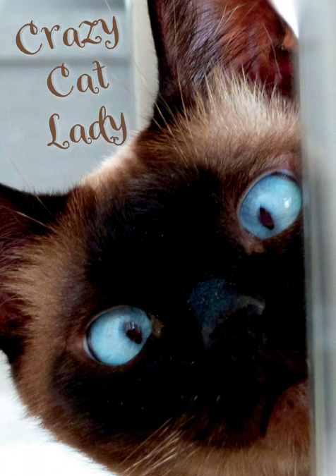 Crazy Cat Lady Notebook