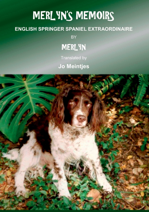 Merlyn’s Memoirs