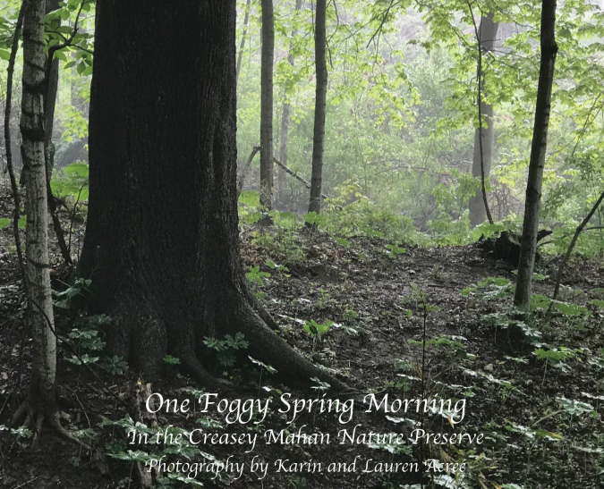 One Foggy Morning in Spring