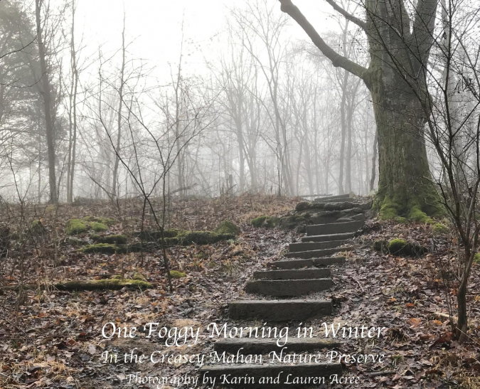 One Foggy Morning in Winter