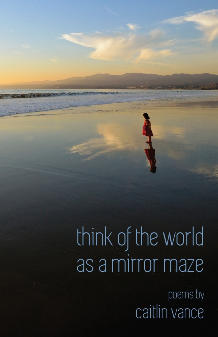 Think of the World as a Mirror Maze