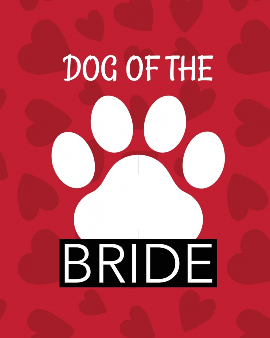 Dog Of The Bride