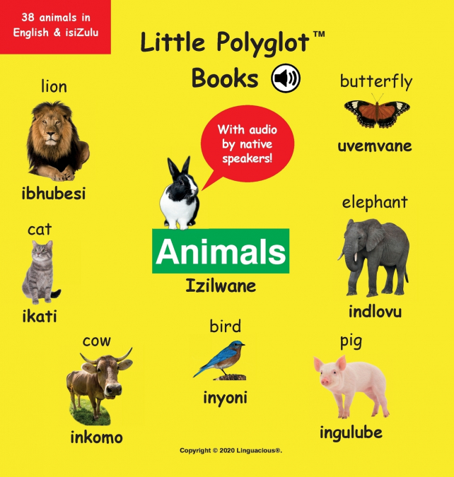 Animals/Izilwane