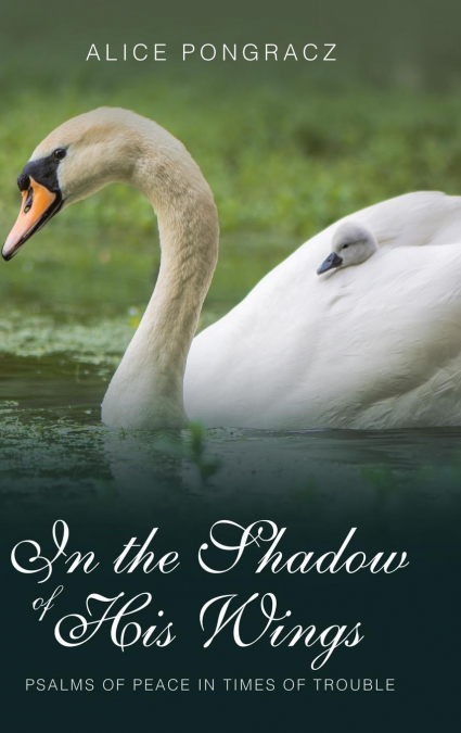 In the Shadow of His Wings