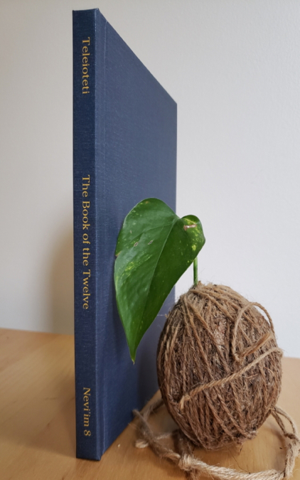 The Book of the Twelve