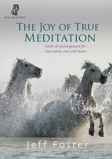 The joy of True Meditation