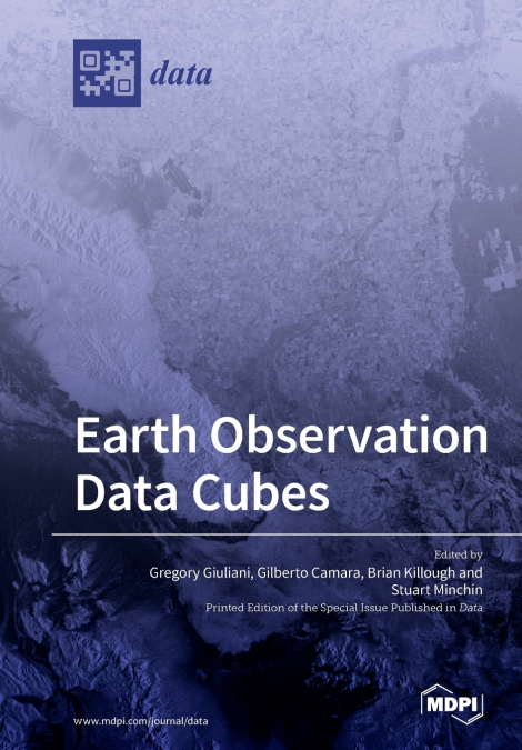 Earth Observation Data Cubes