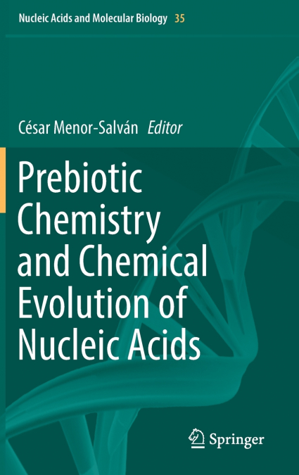 Prebiotic Chemistry and Chemical Evolution of Nucleic Acids