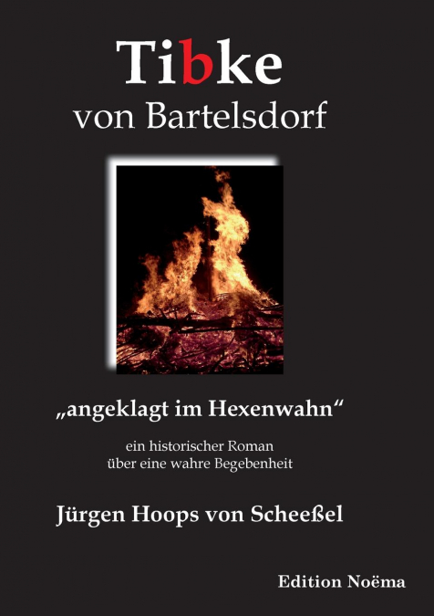 Tibke von Bartelsdorf. 'angeklagt im Hexenwahn'. Ein historischer Roman über eine wahre Begebenheit