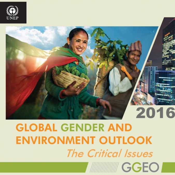 Global Gender and Environment Outlook 2016