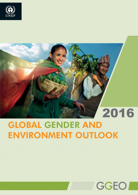 Global Gender and Environment Outlook 2016