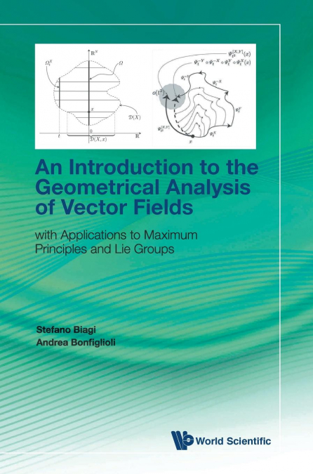 An Introduction to the Geometrical Analysis of Vector Fields