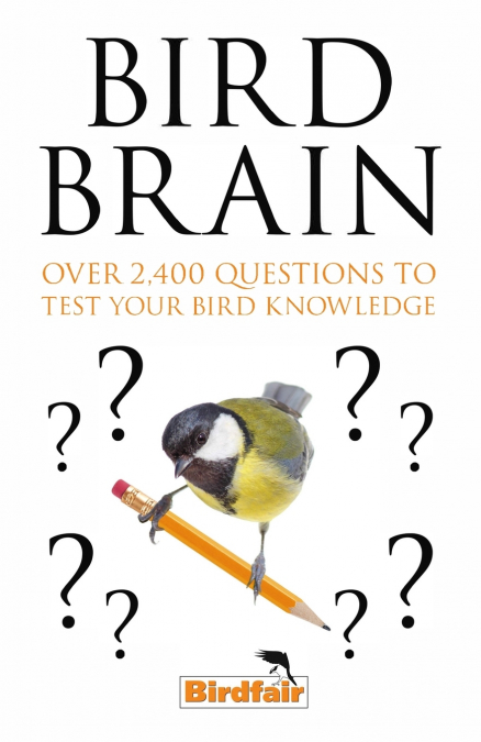 Bird Brain