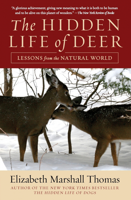 Hidden Life of Deer, The