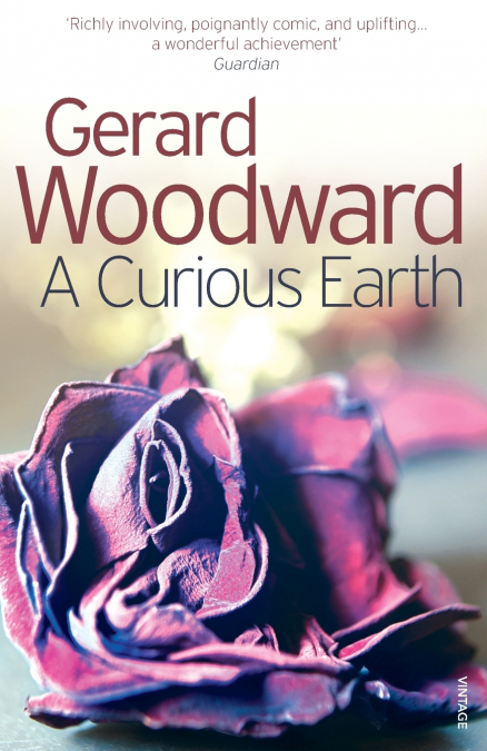 A Curious Earth