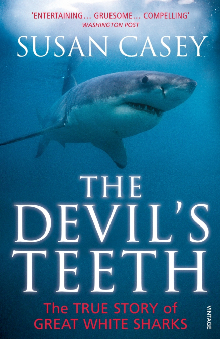 The Devils Teeth