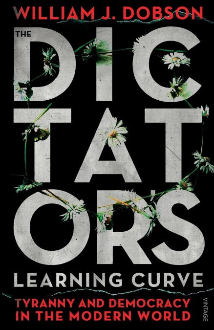 The Dictators Learning Curve