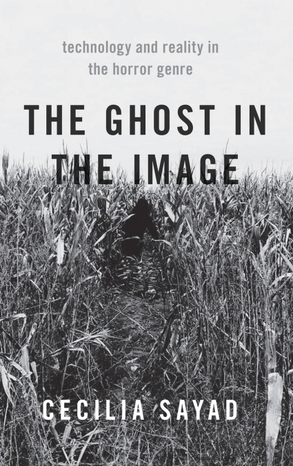 The Ghost in the Image
