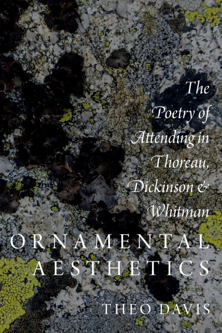 Ornamental Aesthetics
