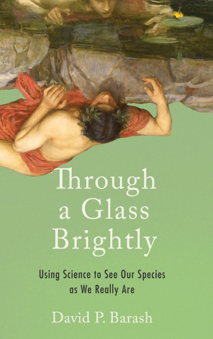 Through a Glass Brightly
