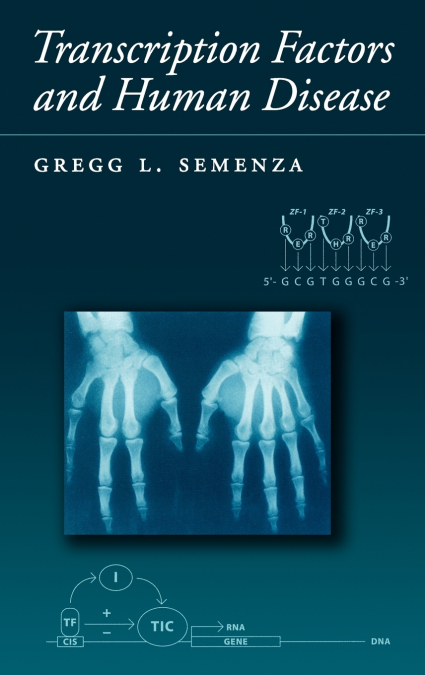 Transcription Factors and Human Genetic Disease