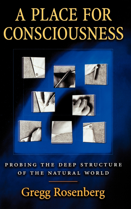 A Place for Consciousness