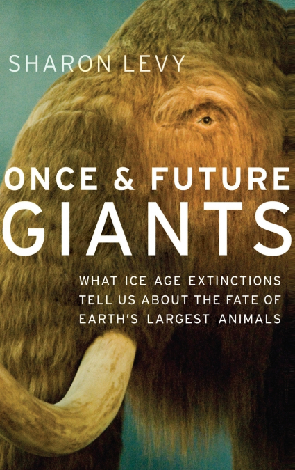 ONCE & FUTURE GIANTS C