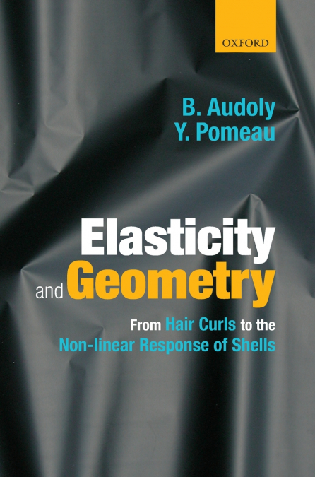 ELASTICITY & GEOMETRY C