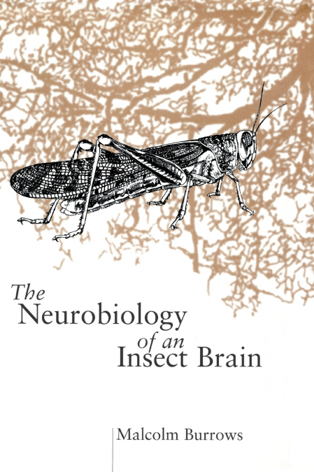 NEUROBIOL INSECT BRAIN C