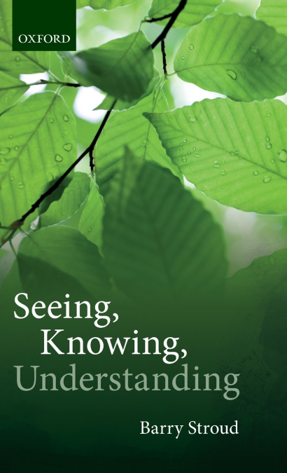 Seeing, Knowing, Understanding