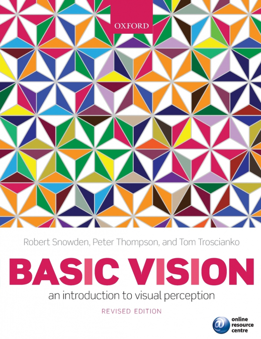 BASIC VISION REVISED ED P