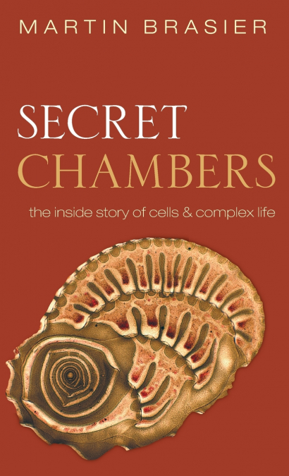 SECRET CHAMBERS C