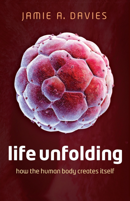 Life Unfolding