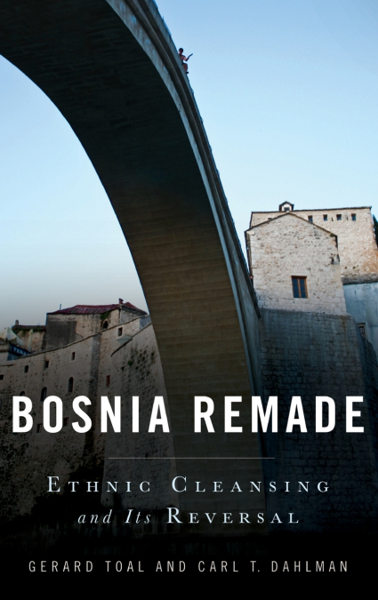 Bosnia Remade