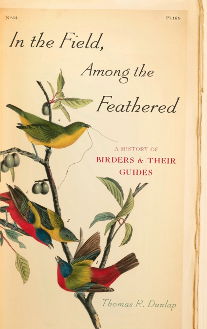 IN FIELD AMONG FEATHERED C