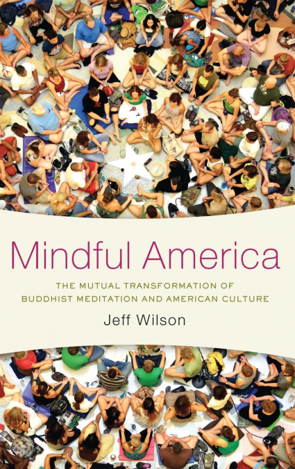 MINDFUL AMERICA C