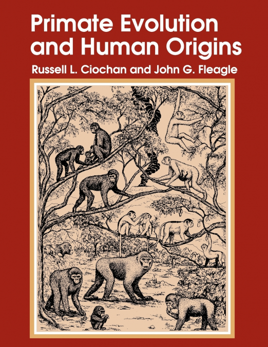 Primate Evolution and Human Origins