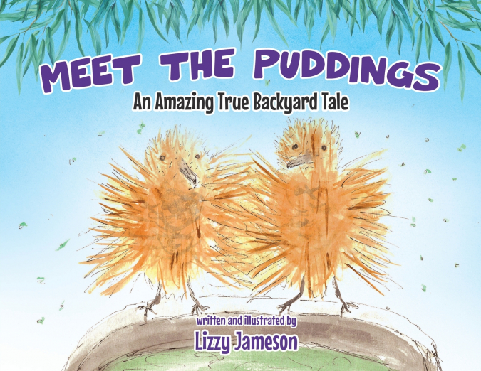 Meet the Puddings
