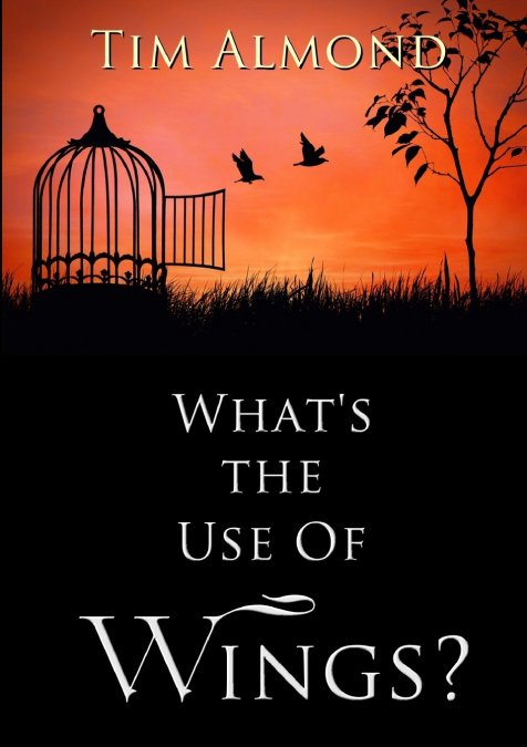 What’s The Use Of Wings?
