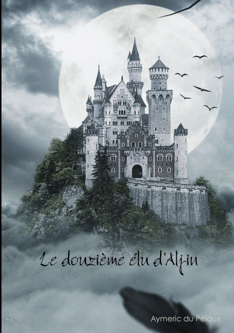 Le douzième élu d’Aljin
