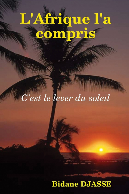 L’Afrique l’a compris