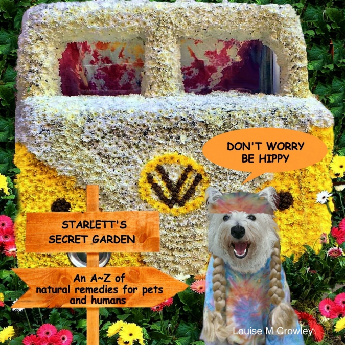 DON’T WORRY BE HIPPY