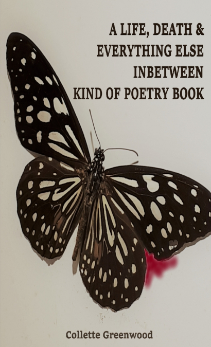 A LIFE, DEATH & EVERYTHING ELSE INBETWEEN KIND OF POETRY BOOK