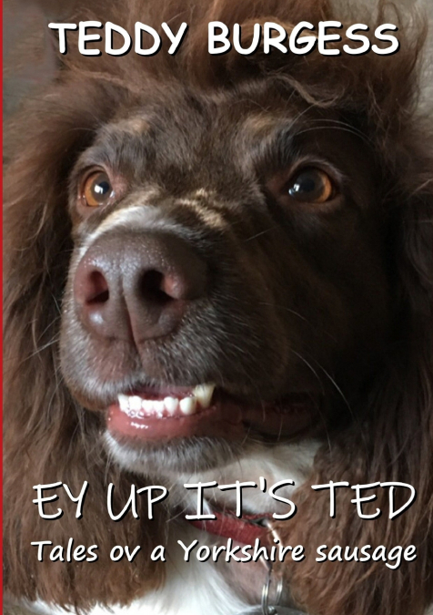Ey Up It’s Ted