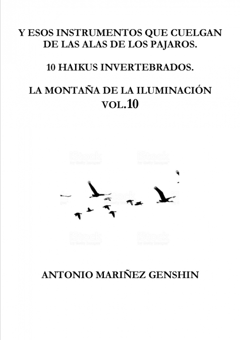 Y ESOS INSTRUMENTOS QUE CUELGAN DE LAS ALAS DE LOS PAJAROS