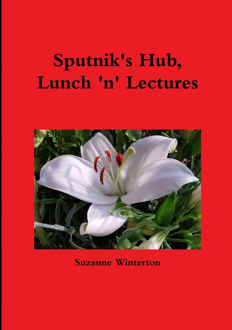Sputnik’s Hub, Lunch ’n’ Lectures