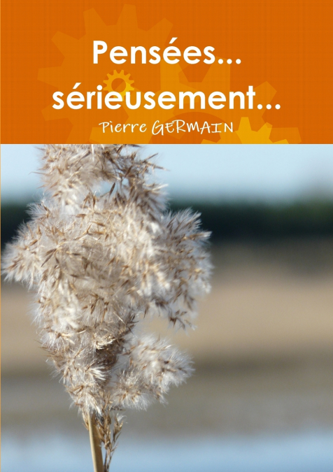 Pensées... sérieusement...